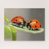 Ladybugs Beetles Jigsaw Puzzle (Horizontal)