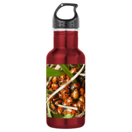 Ladybugs (Coccinellidae) Trinkflasche