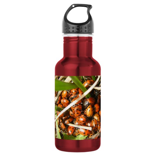 Ladybugs (Coccinellidae) Trinkflasche (Vorderseite)