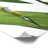 Ladybugs: düster Hintergrund Wasserfarbmuster. Poster (Ecke)