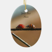 Ladybugs folgen Leader Niedlich Nature Ornament (Hinten)