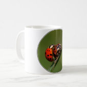 Ladybugs in Liebe Kaffeetasse (Vorderseite Links)