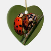 Ladybugs in Liebe Keramik Ornament (Rechts)