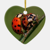 Ladybugs in Liebe Keramik Ornament (Vorne)