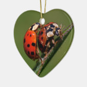Ladybugs in Liebe Keramik Ornament (Links)