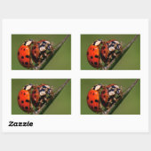 Ladybugs in Liebe Rechteckiger Aufkleber (Blatt)