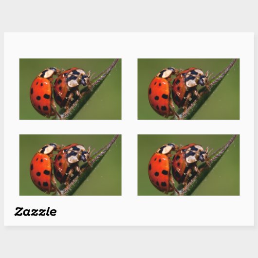 Ladybugs in Liebe Rechteckiger Aufkleber (Blatt)