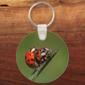 Ladybugs in Liebe Schlüsselanhänger (Vorderseite)