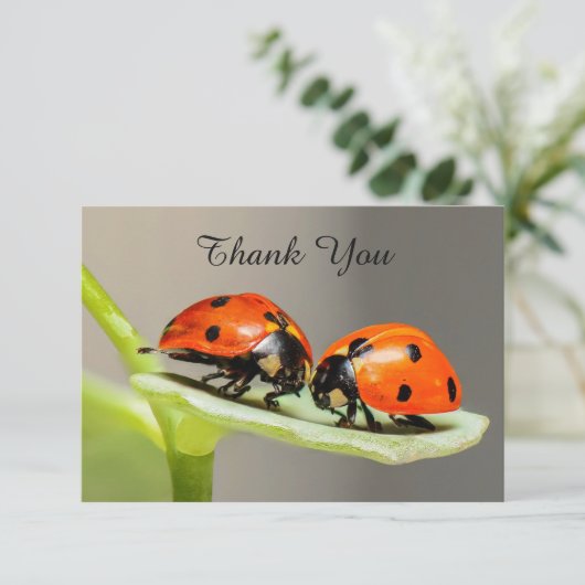 Ladybugs Käfer Flat Dankeschön Karte (Stehend Vorderseite)