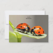 Ladybugs Käfer Flat Dankeschön Karte (Rückseite)