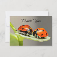 Ladybugs Käfer Flat Dankeschön Karte