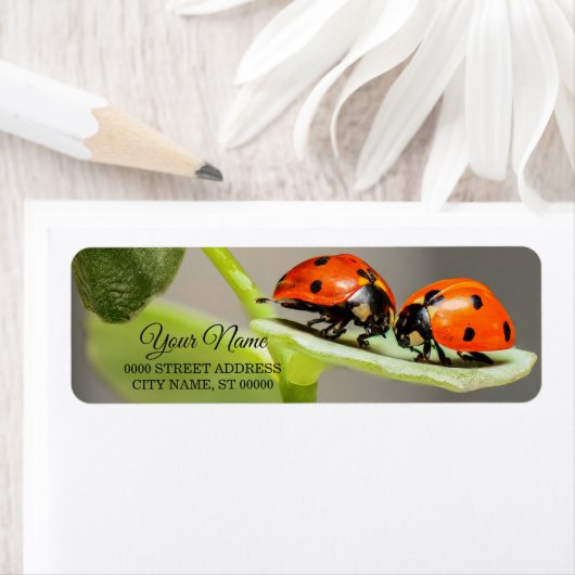 Ladybugs Käfer Rücksendeadresse (Insitu)