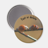 Ladybugs Küssen Natur Personalisiert Magnet (Vorderseite/Rückseite)