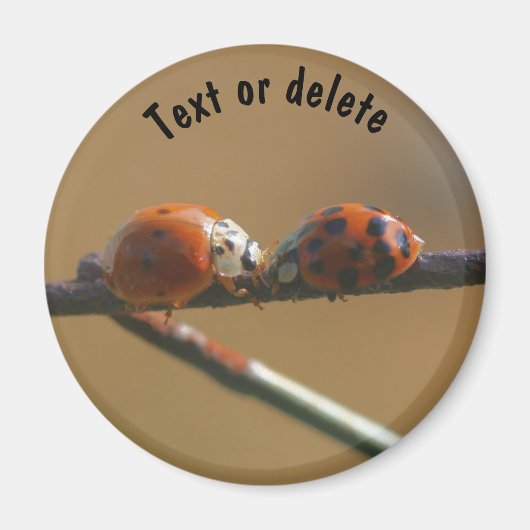 Ladybugs Küssen Natur Personalisiert Magnet (Vorne)