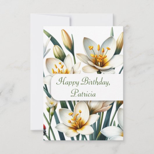 Ladybug's Lily Haven (Vorderseite)