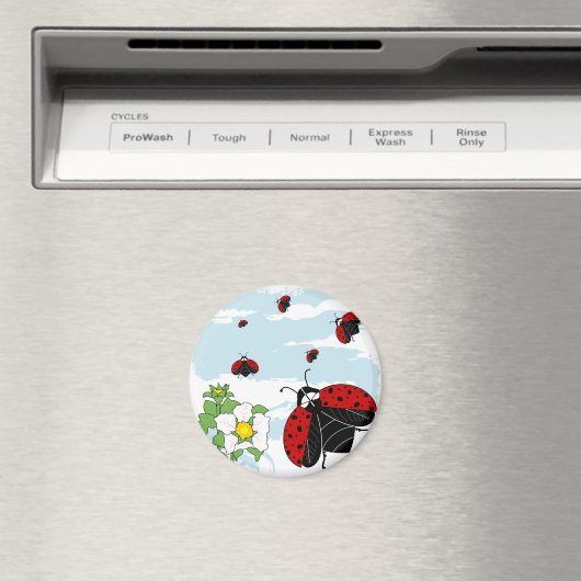 Ladybugs Magnet (In Situ (Geschirrspüler))