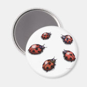 Ladybugs Magnet (Vorderseite/Rückseite)