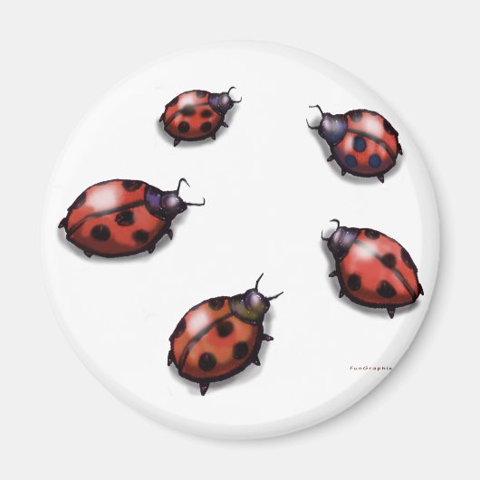 Ladybugs Magnet (Vorne)