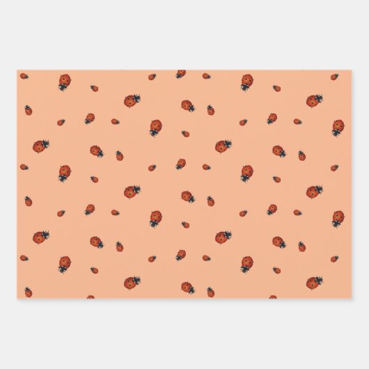 Ladybugs n Bees Summer Birthday Wrapping Paper Geschenkpapier Set (Vorderseite 3)