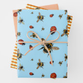 Ladybugs n Bees Summer Birthday Wrapping Paper Geschenkpapier Set (Beispiel)