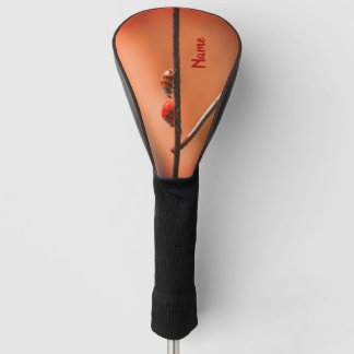 Ladybugs Play folgt dem Leader Personalisiert Golf Headcover