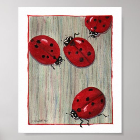 Ladybugs! Poster (Vorne)
