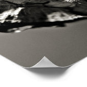 Ladybugs Poster (Ecke)