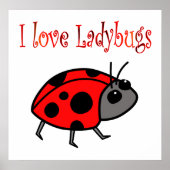 Ladybugs Poster (Vorne)