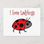 Ladybugs Postkarte (Vorderseite)