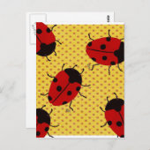 LADYBUGS POSTKARTE (Vorne/Hinten)