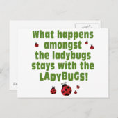 Ladybugs Postkarte (Vorne/Hinten)