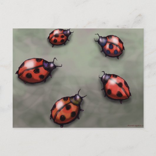 Ladybugs Postkarte (Vorderseite)