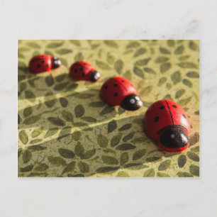 Ladybugs Postkarte