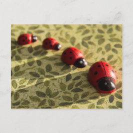 Ladybugs Postkarte