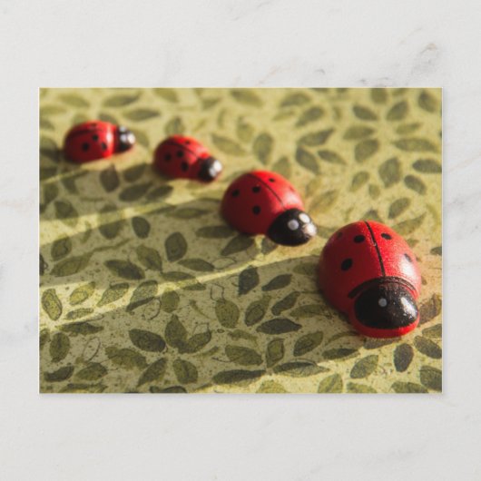 Ladybugs Postkarte (Vorderseite)