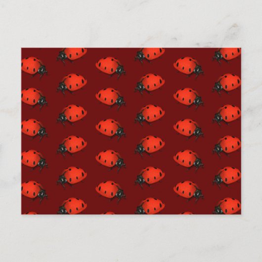 Ladybugs Postkarte (Vorderseite)