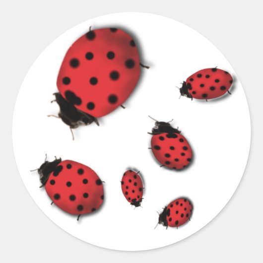 Ladybugs Runder Aufkleber (Vorderseite)