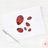 Ladybugs Runder Aufkleber (Umschlag)