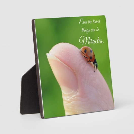 Ladybugs "Smallest Miracles" Fotoplatte (Vorderseite)