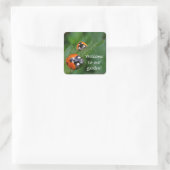 LADYBUGS ~ Square Sticker (Tasche)