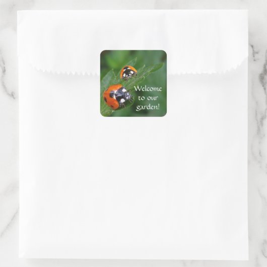 LADYBUGS ~ Square Sticker (Tasche)