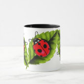 Ladybugs Tasse (Zentrum)