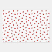 Ladybugs und Lüster Geschenkpapier Set (Vorderseite 3)
