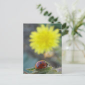 Ladybugs Weltpostkarte Postkarte (Stehend Vorderseite)