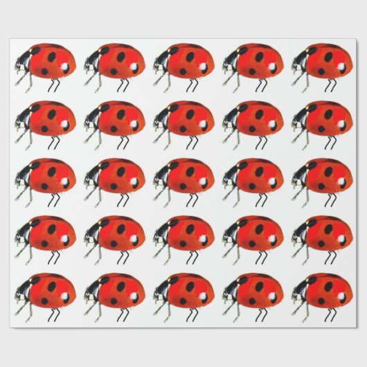 Ladybugs Wrapping Paper Geschenkpapier (Flach)