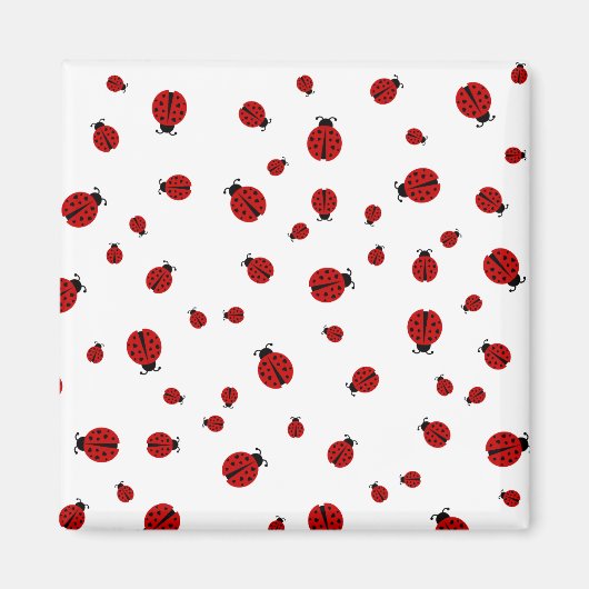 Ladybugz. Magnet (Vorne)