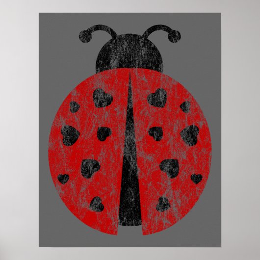 Ladybugz. Poster (Vorne)