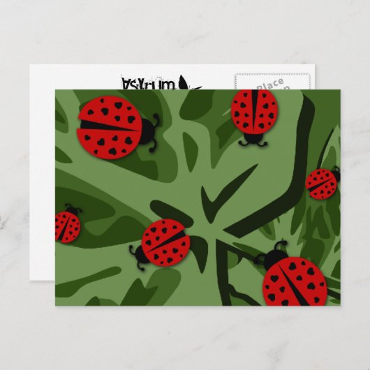 Ladybugz. Postkarte (Vorne/Hinten)
