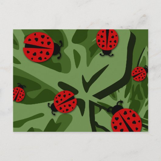 Ladybugz. Postkarte (Vorderseite)