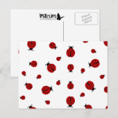 Ladybugz. Postkarte (Vorne/Hinten)
